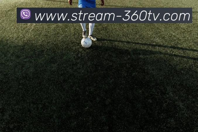 360直播服务体系